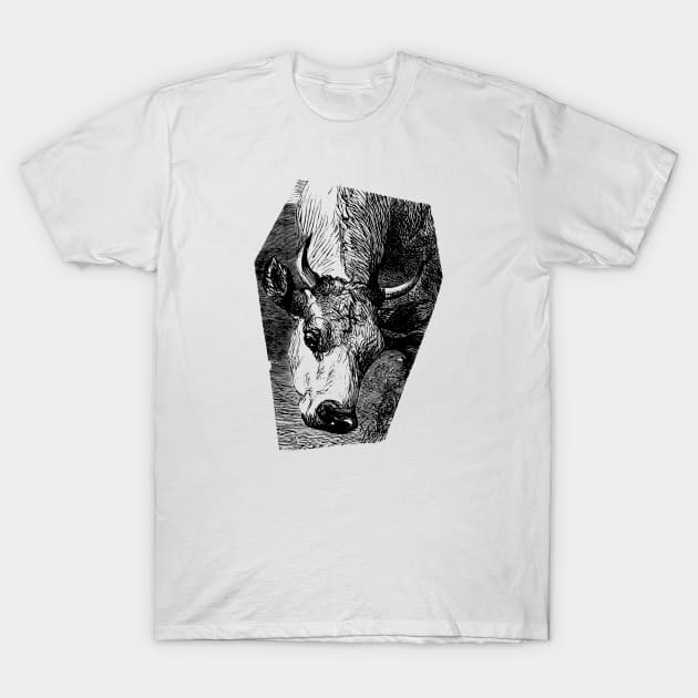 Cow Portrait Ink Drawing T-Shirt by Biophilia